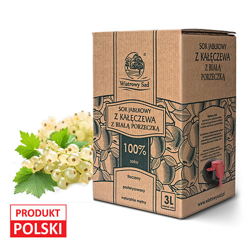 Sok jabłkowy z białą porzeczką 3l