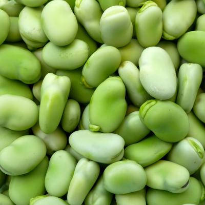 Bób 1 kg
