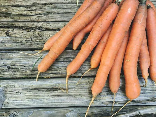 Marchew EKO 3 kg