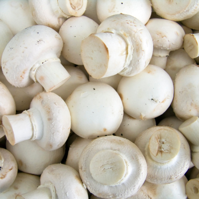 Pieczarki białe 500 g
